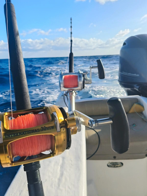 Trolling and deep-sea fishing gear