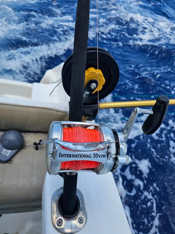 Bottom fishing spinning setups