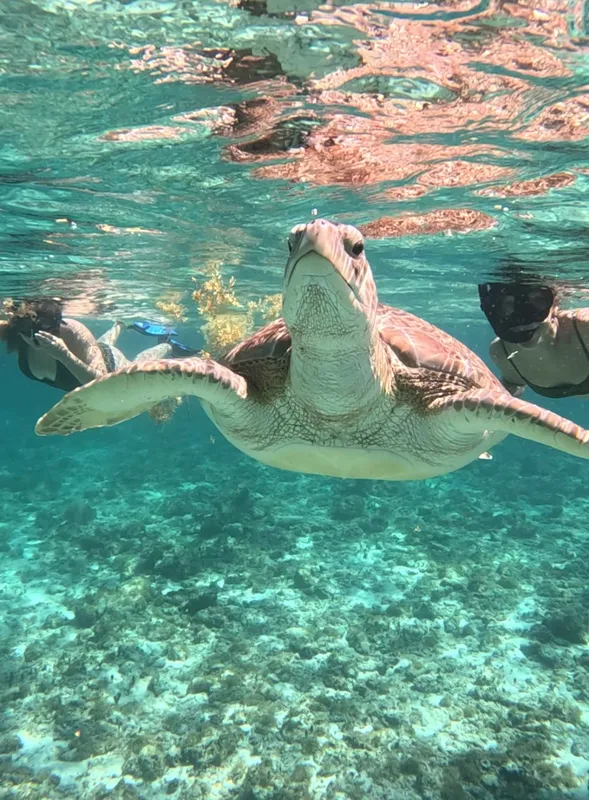 Fishing and snorkeling combo in Playa del Carmen
