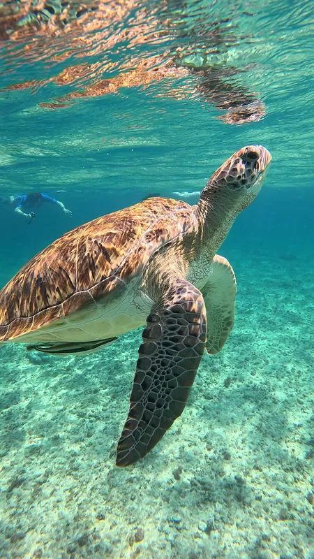 Snorkeling over reef after a fishing session