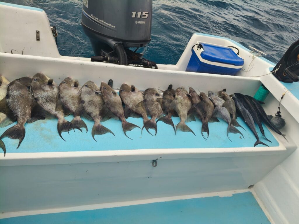 53a041da-d0b0-42d9-8acc-85b0559ff760