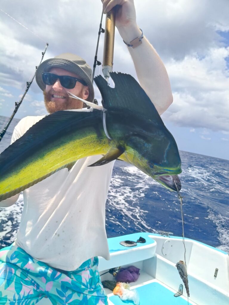 MAHI MAHI 132