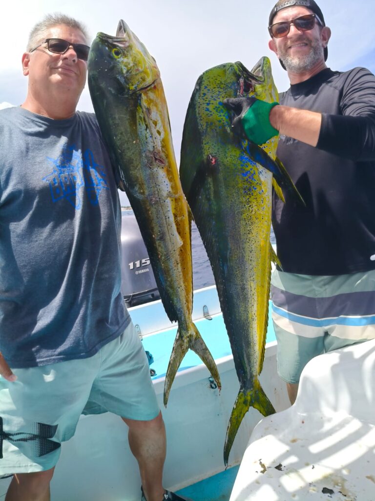 MAHI MAHI 203
