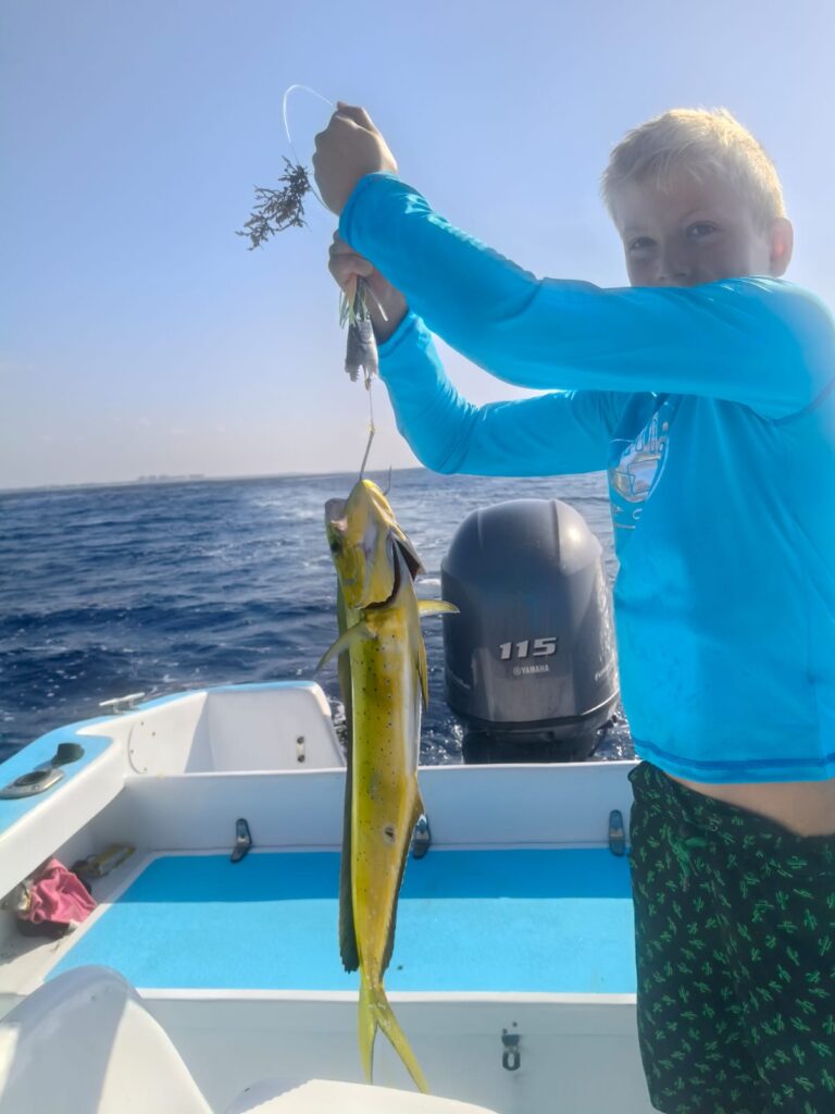 MAHI MAHI 205