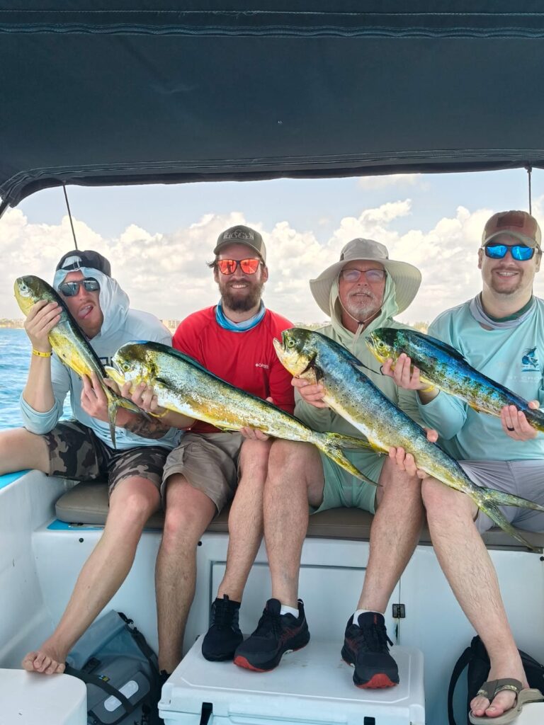 MAHI MAHI 237