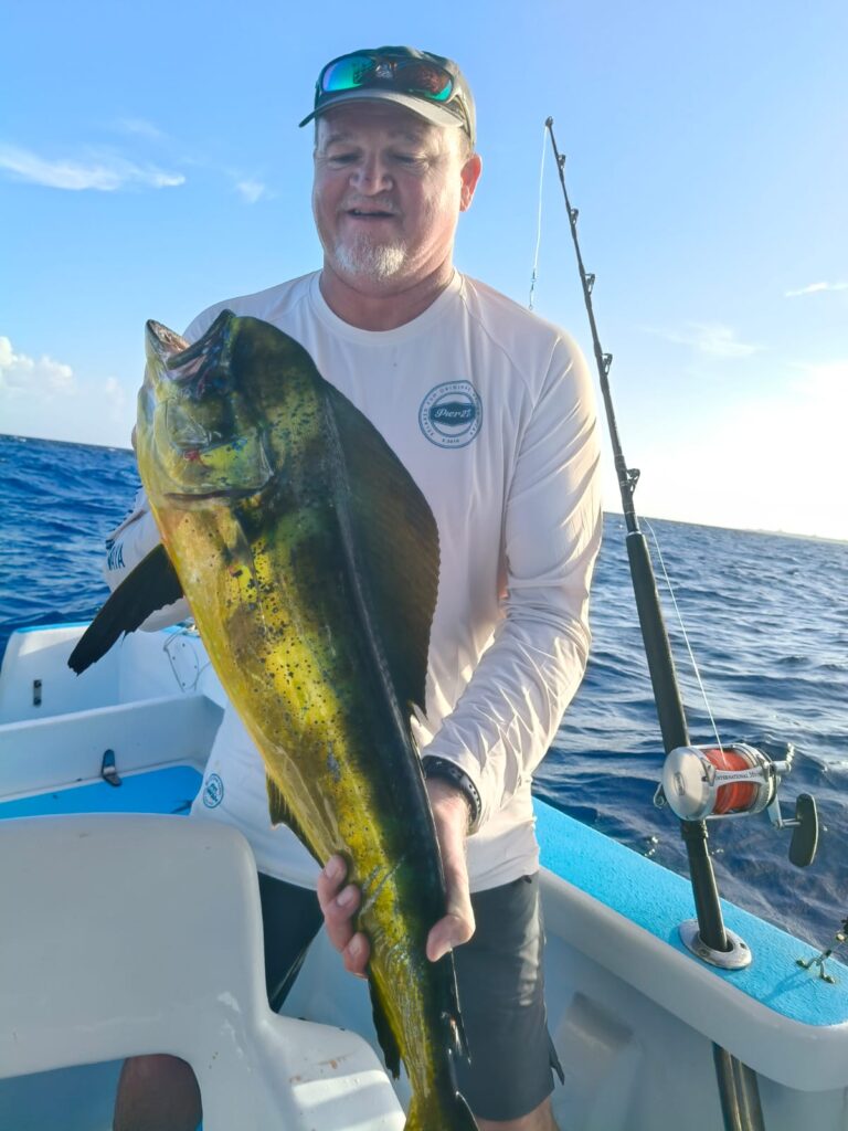 MAHI MAHI 250