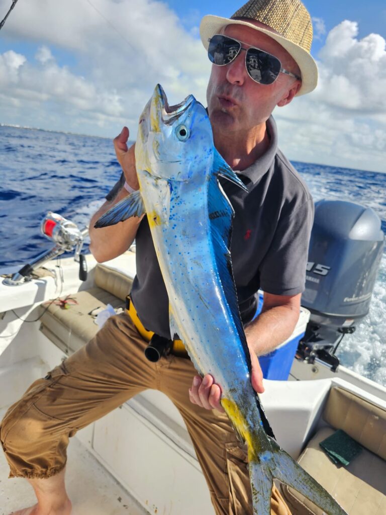 MAHI MAHI 276