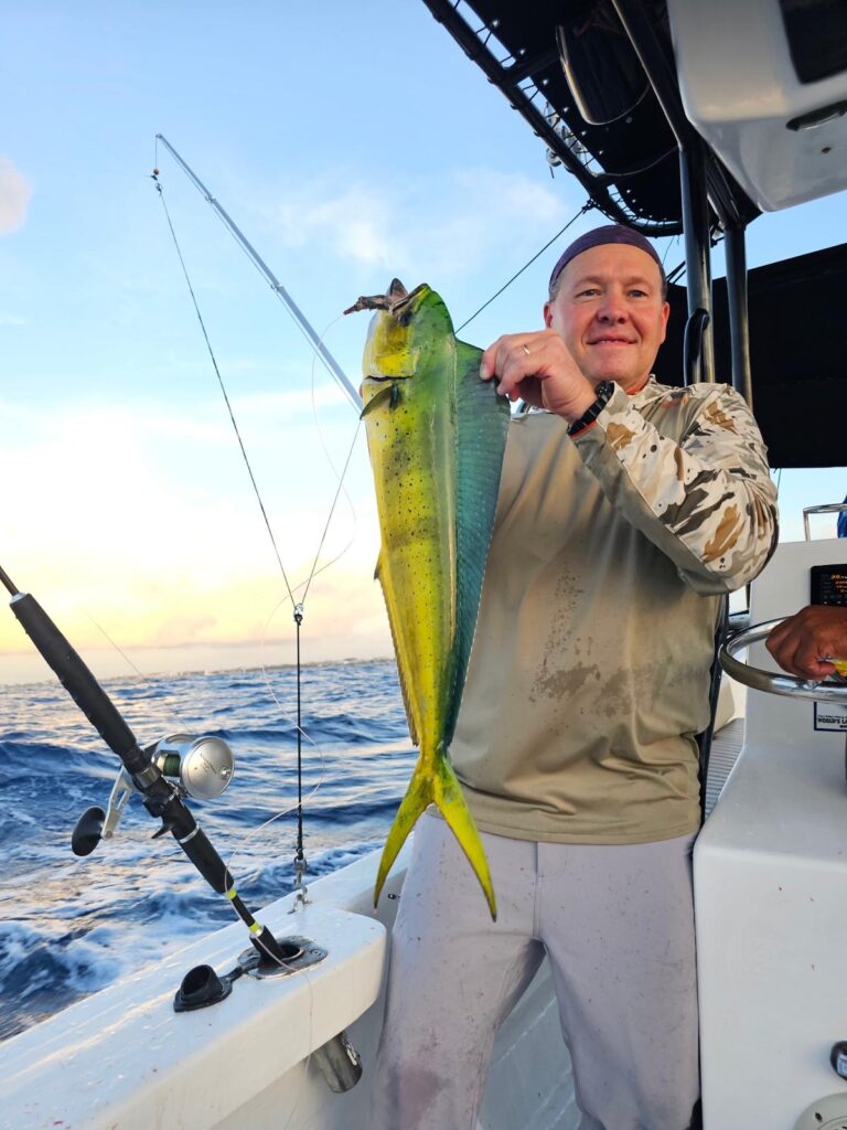MAHI MAHI 351