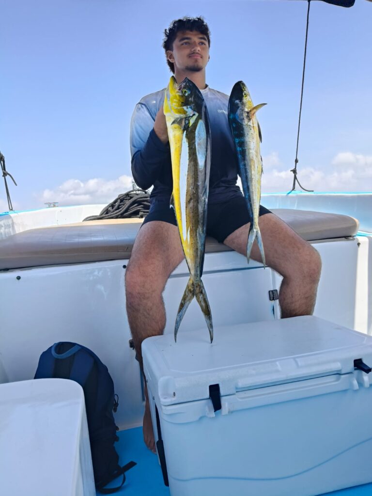 MAHI MAHI 403
