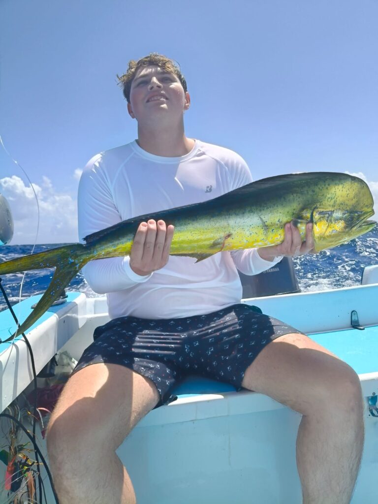 MAHI MAHI 407