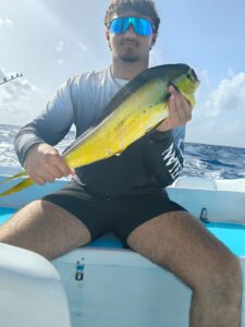 MAHI MAHI 419