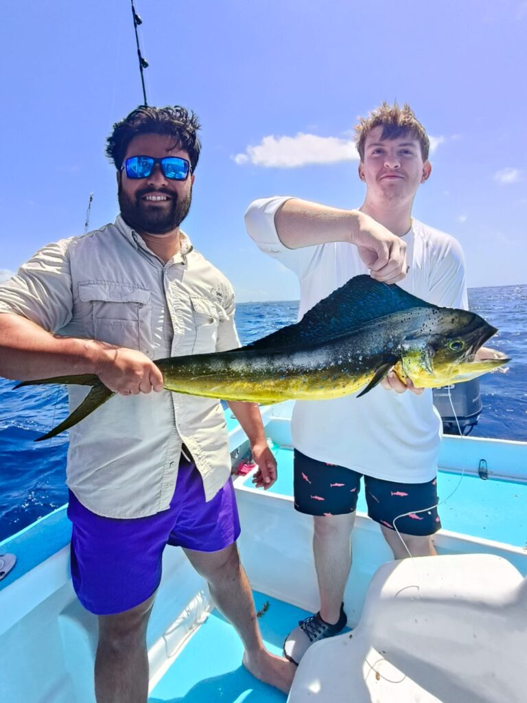 MAHI MAHI 430