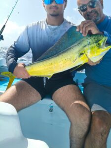 MAHI MAHI 431