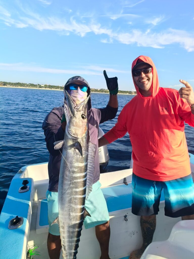 c1c1a9d3-5bd4-4b33-a9df-69cf77b9dada